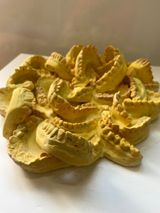 Teeth