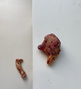 Flesh