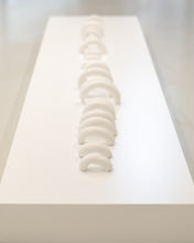 Load image into Gallery viewer, Collection of Bones: A Spine
